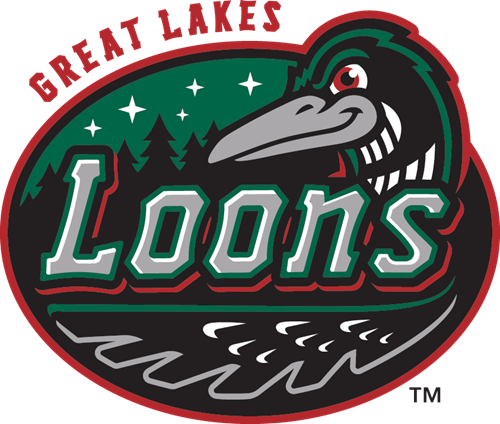 Great Lakes Loons